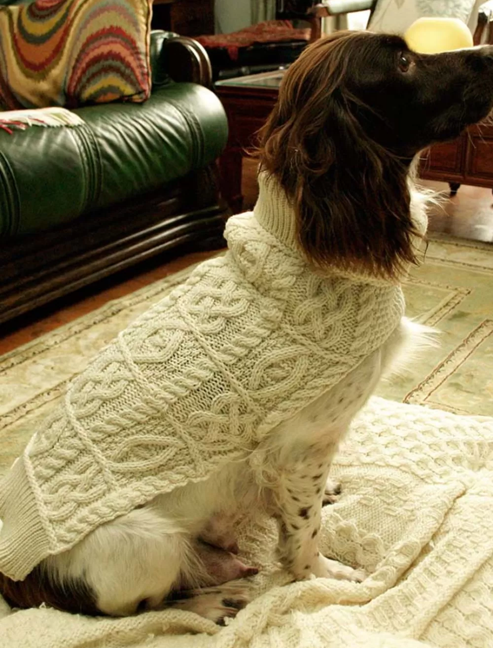 Sale Aran Dog Coat Aran Design Homeware